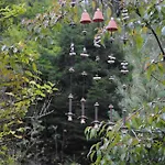 Frauenpension Arleta - Women Only 3* Goslar