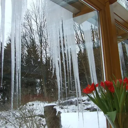 Guest house Frauenpension Arleta - Women Only