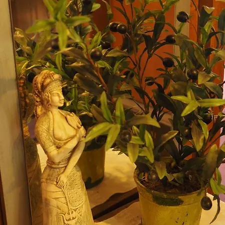 بيت ضيافة Frauenpension Arleta - Women Only