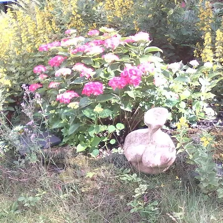 Guest house Frauenpension Arleta - Women Only