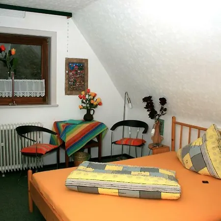 Pensión Frauenpension Arleta - Women Only Goslar