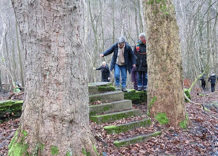 Gasthuis Frauenpension Arleta - Women Only 3*