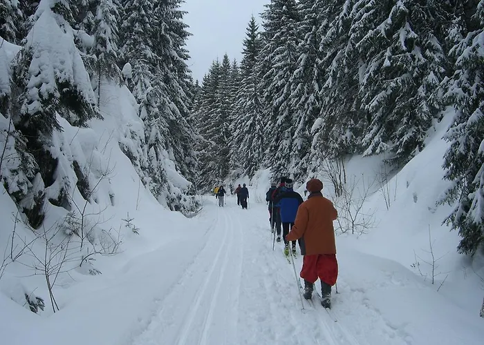 Frauenpension Arleta - Women Only 3* Goslar